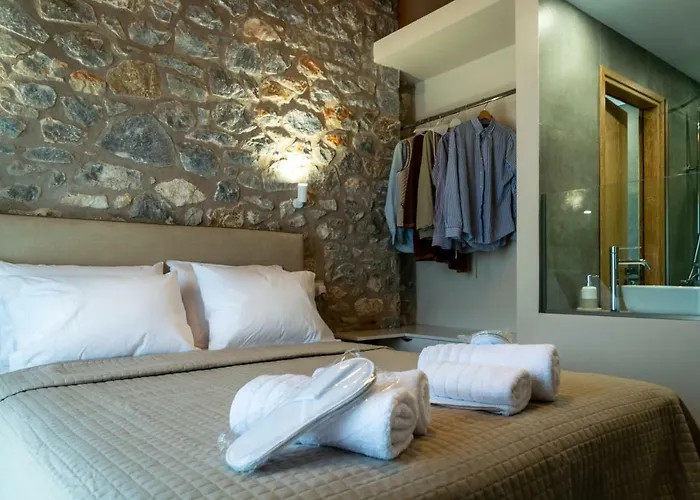 Petras Gi - Stone 4*