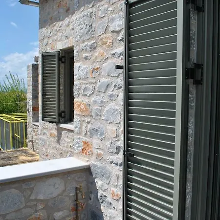 Petras Gi - Stone