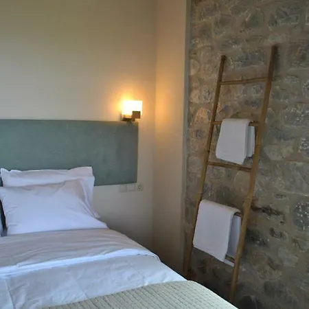 Petras Gi - Stone 4*