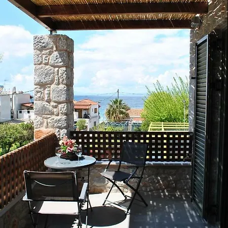 Petras Gi - Stone 4*