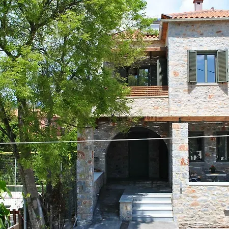 Petras Gi - Stone