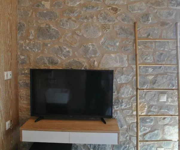 Petras Gi - Stone 4*