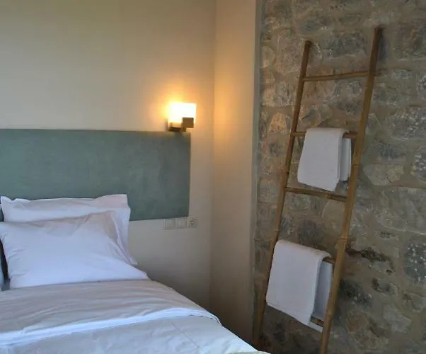 Petras Gi - Stone 4*