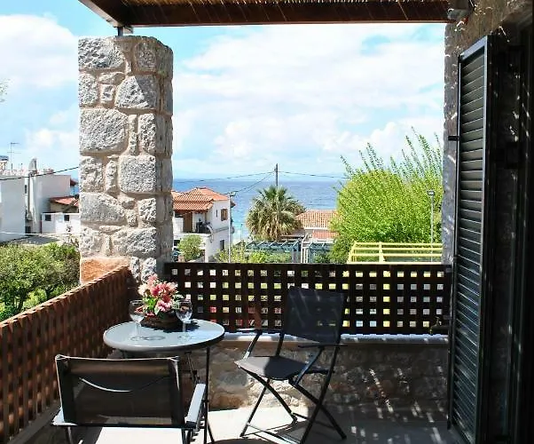 Petras Gi - Stone 4*