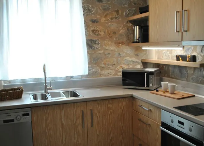 Petras Gi - Stone 4*